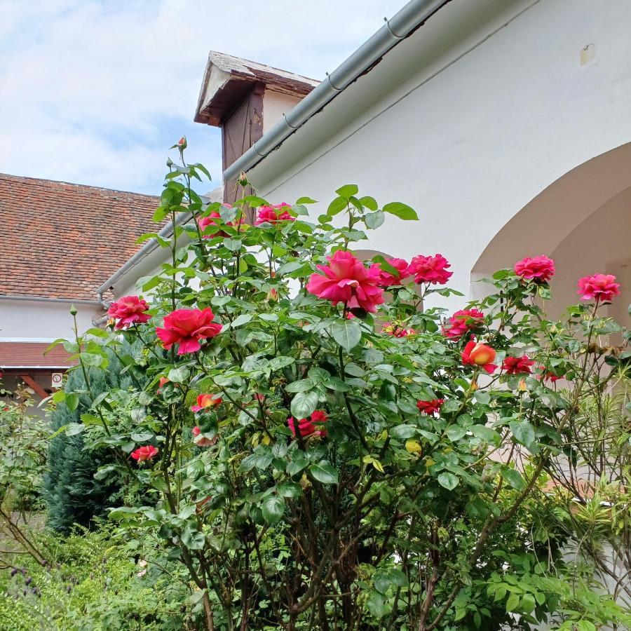 Blues Ryokan Koszeg Luaran gambar