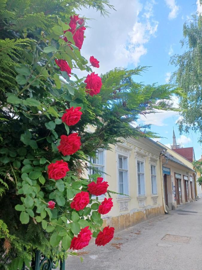 Blues Ryokan Koszeg Luaran gambar